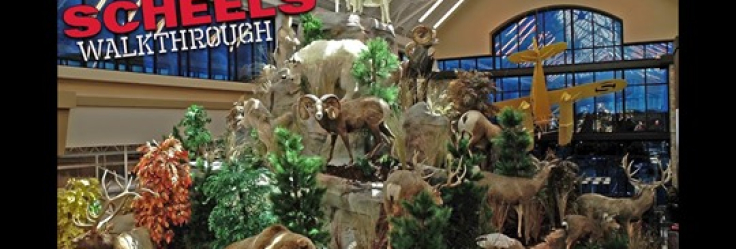 American Heroes Outdoors Television - Walk-through Tour of SCHEELS in ...